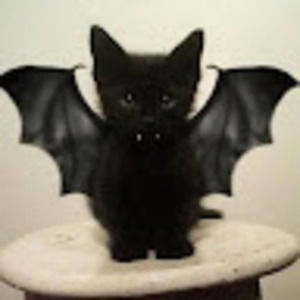 Meet your Posher, 123